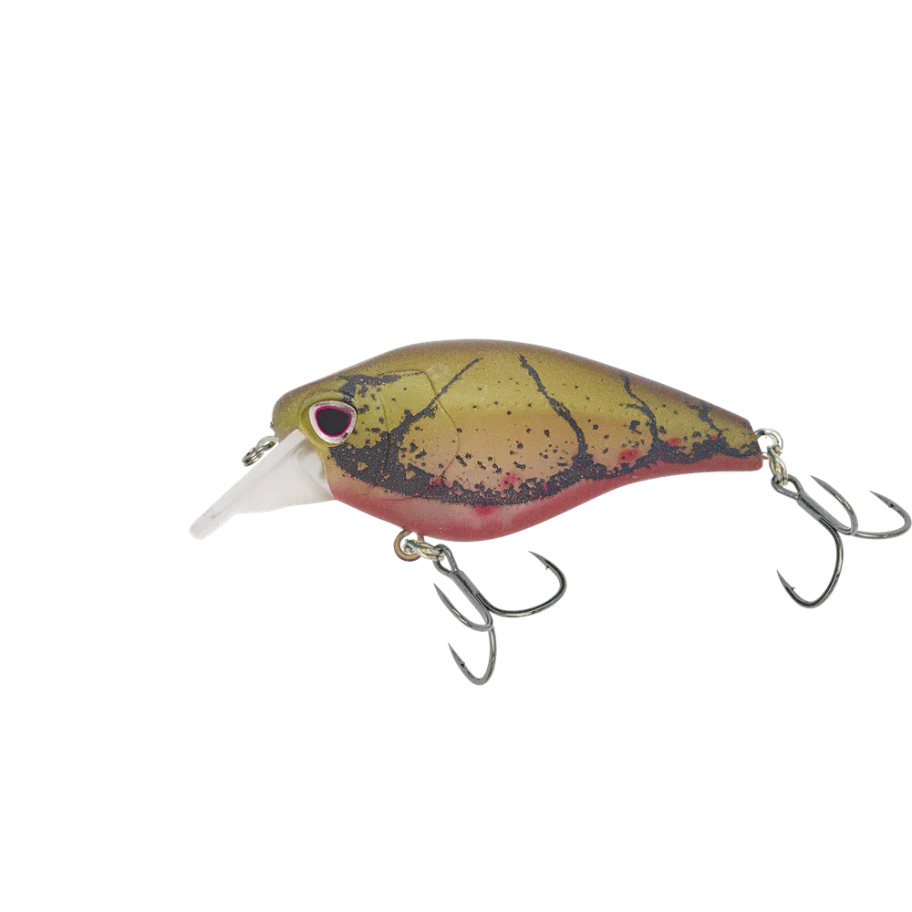 Compleat Angler Cairns - In store NOW! 🦀🦀 Chasebaits CRUSTY CRAB